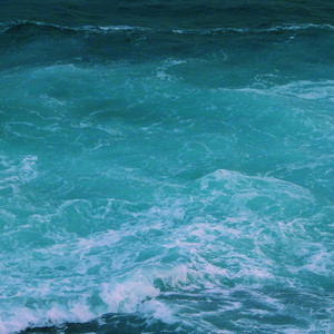 黑客家庭破解1000部
