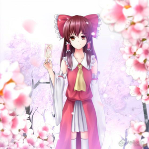 黑客家庭破解1000部
