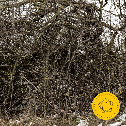 黑客家庭破解1000部
